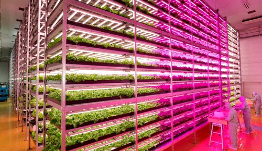 Is this progress, or is this a big, pink warning flag?