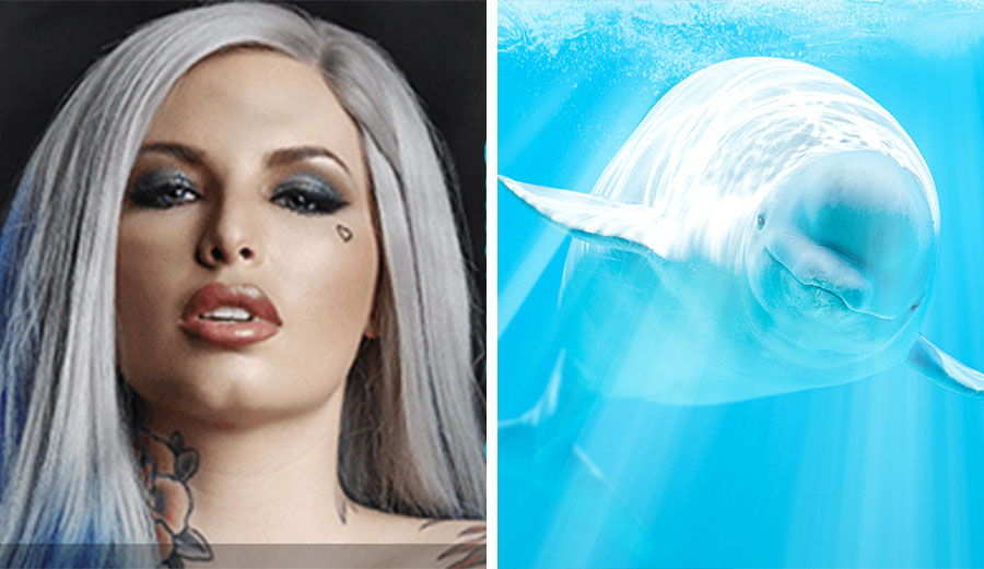 If you're into watching porn, this is a good month to do it.