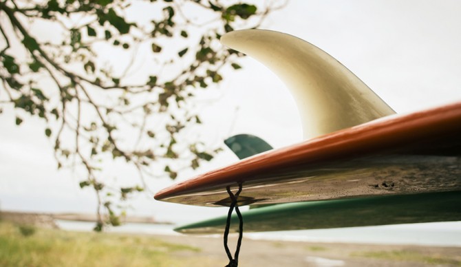 shutterstock_247526308