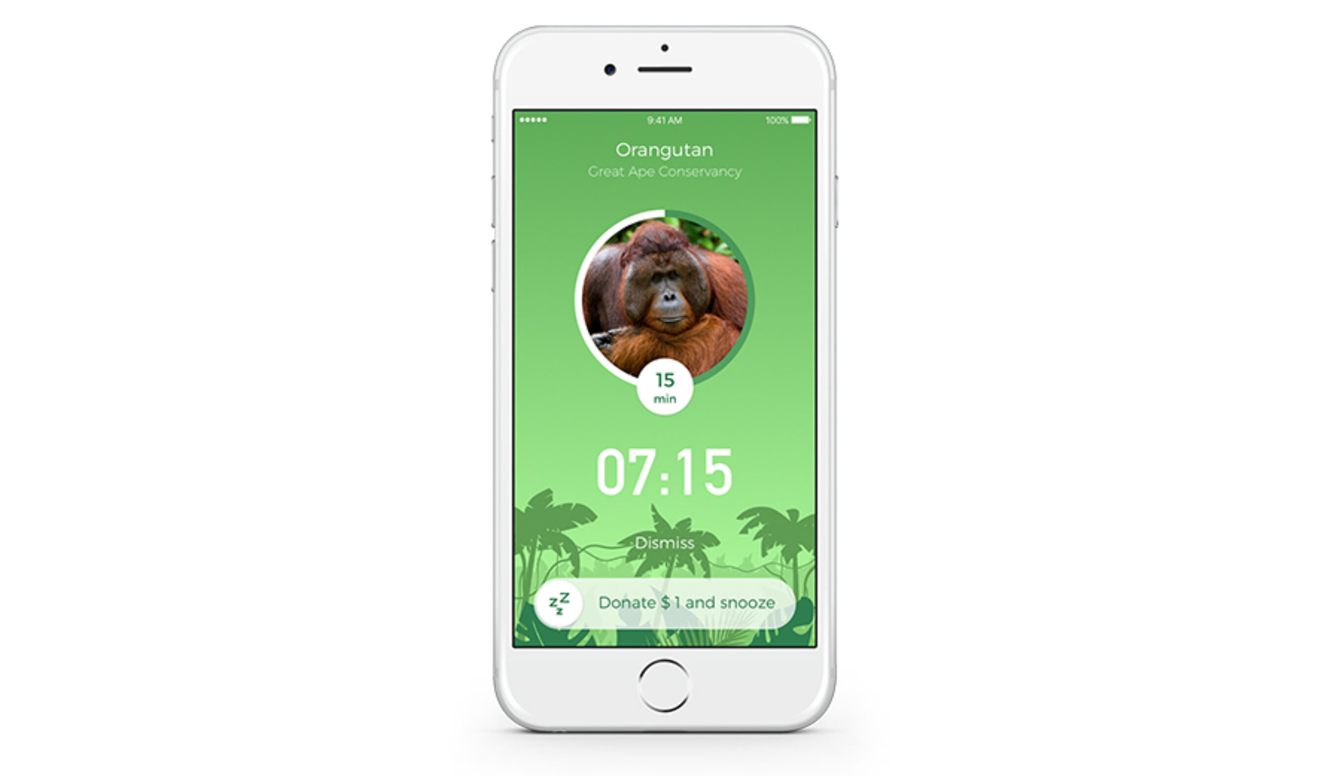 Alarmscreen_Rainforest