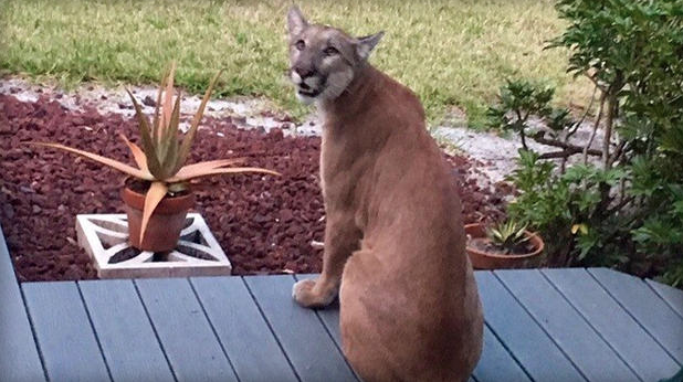 Screen Shot 2016-03-31 at 8.51.11 AM