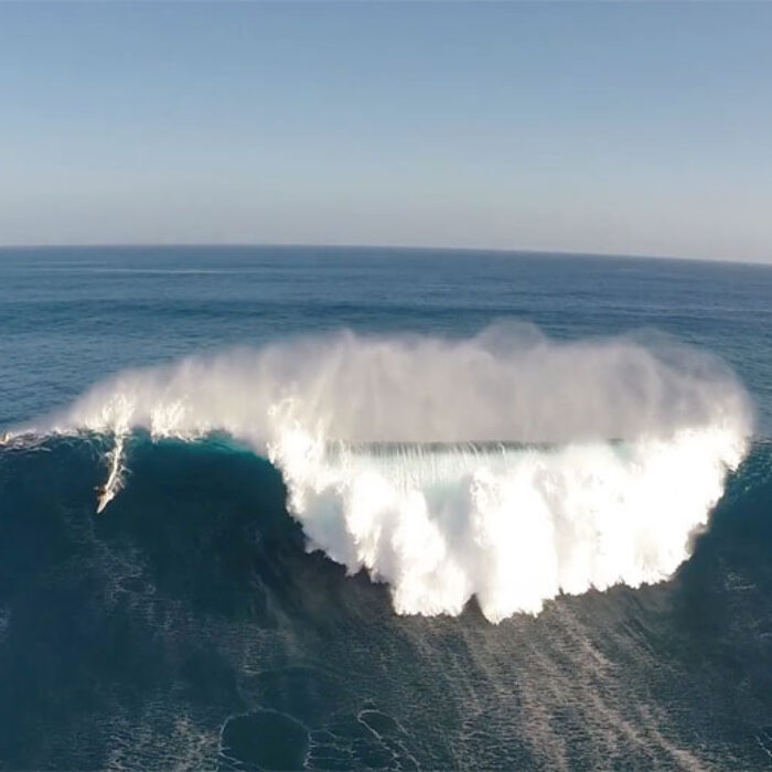 Jaws Drone