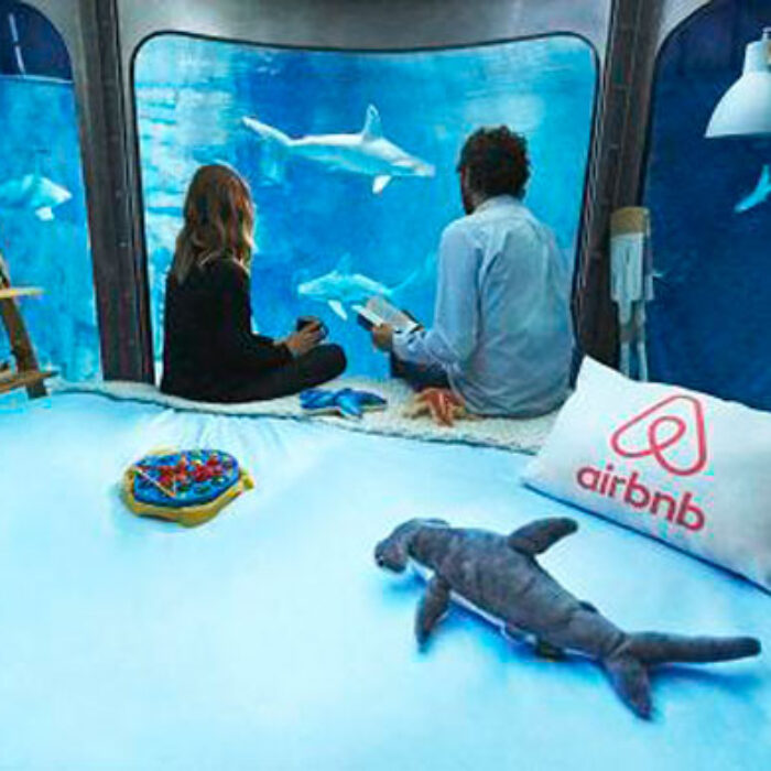 Shark Airbnb