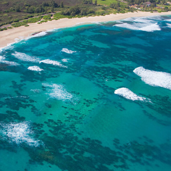 Brad Farmer wants Hawaii to be named the next World Surfing Reserve.