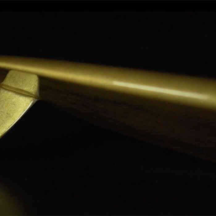 Called the Aureus after Rome's golden coin, the surfboard looks like it's some kind of '70s shape.