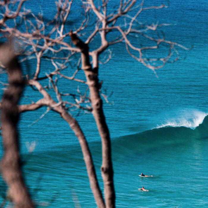 You want to be close to this for a living, ehhh? Well, you can do it. Photo: Kane Brown