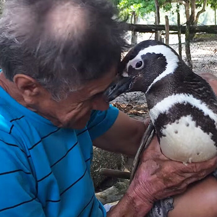 de Souza says Dindim won't allow other animals near him. Now that's love.