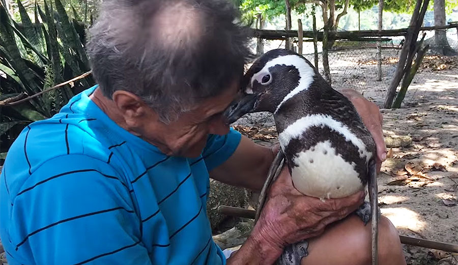 de Souza says Dindim won't allow other animals near him. Now that's love.