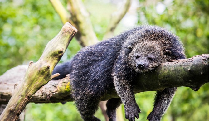 Pictured: Saving the world, 9 minutes at a time.