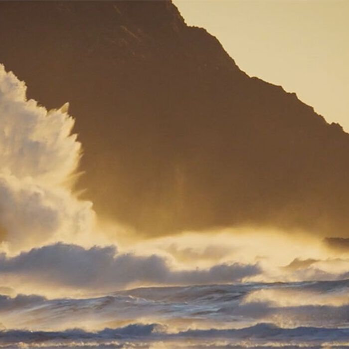 Cold water, big trees, clear air, and if you're willing to look, amazing, empty waves. It makes a perfect setting for a film.