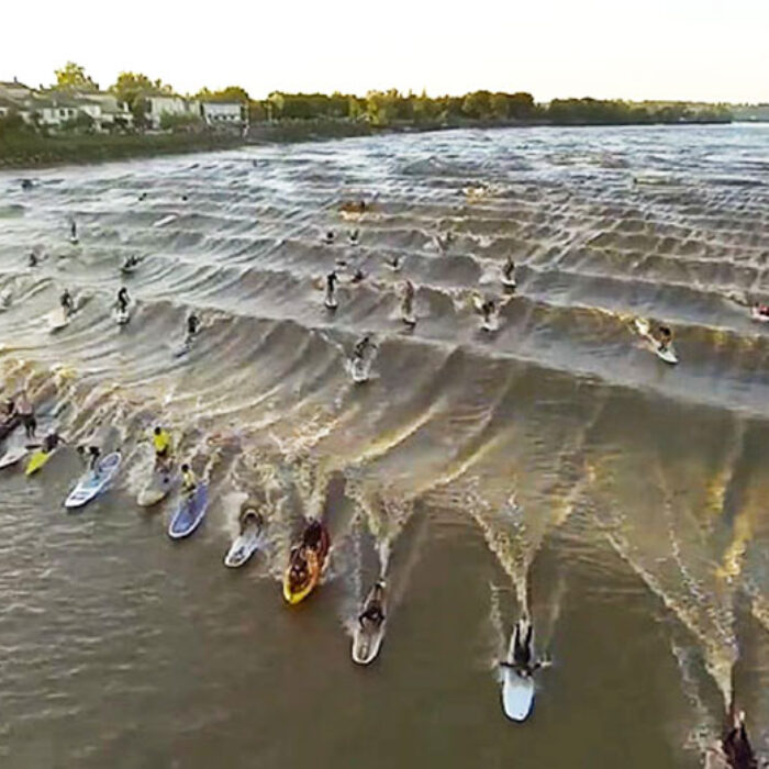 the Pororoca, a tidal bore on the Amazon.