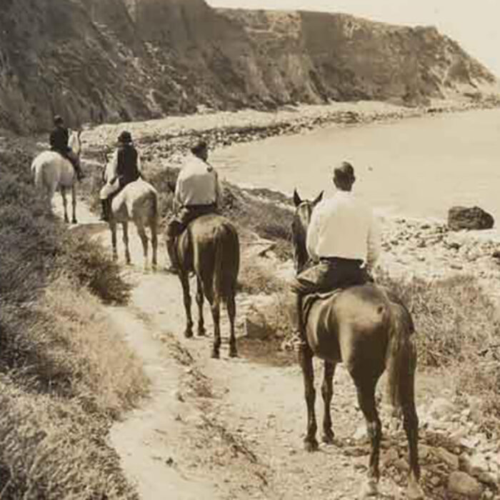 Palos Verdes