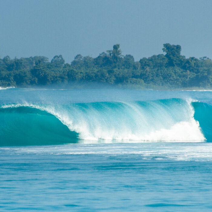 Hayden O'Neill