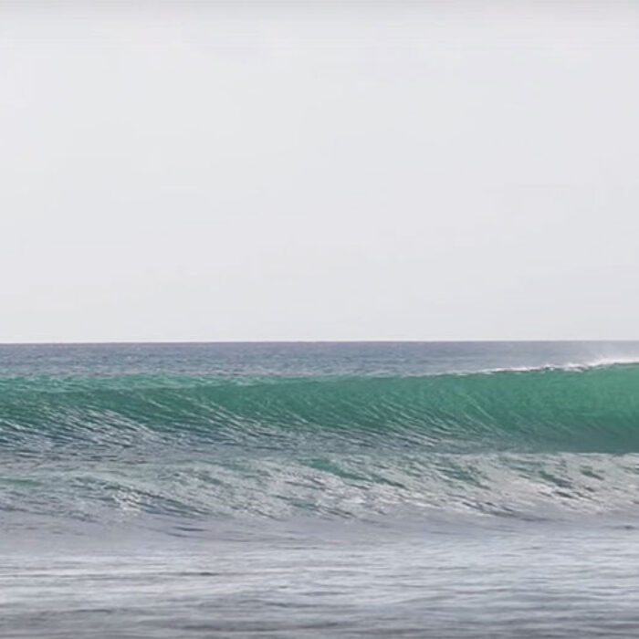 What Dillon Perillo found is as close to perfect as one can get.
