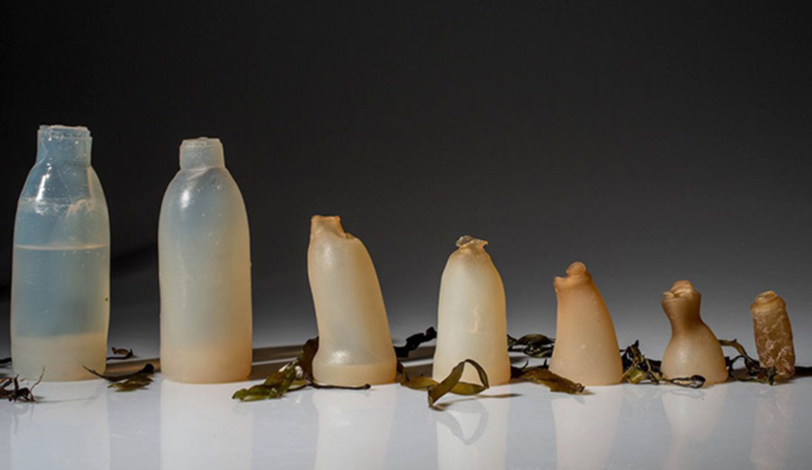 Ari Jonsson's biodegradable water bottle in the throes of decomposition. You won't see a plastic bottle doing this. Image: EMGN.com