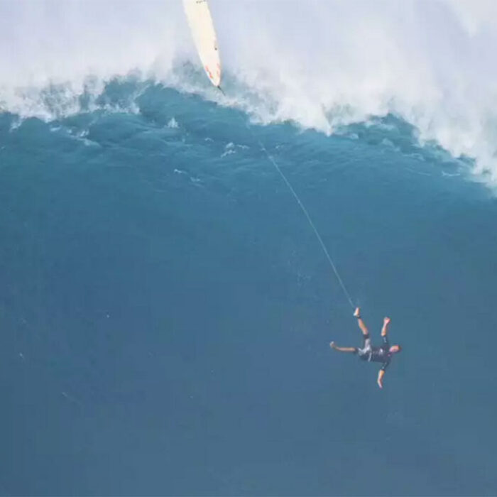 Jaws