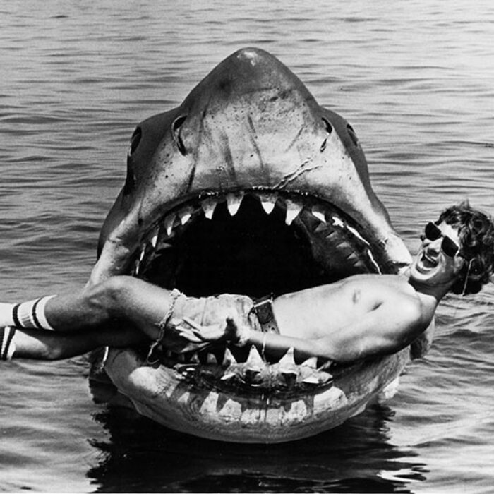 "Fuck your couch, shark! I'm insured!"