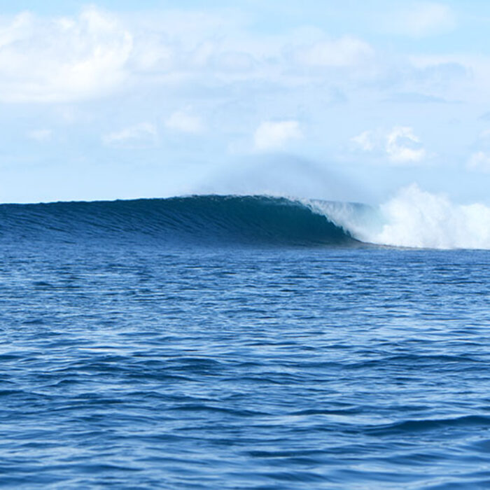 It doesn't get much better than this. Photo: WSL