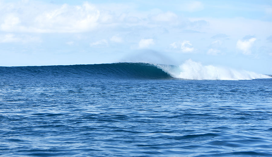 It doesn't get much better than this. Photo: WSL