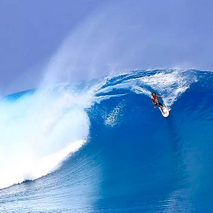 2015 was a good year for surfing.