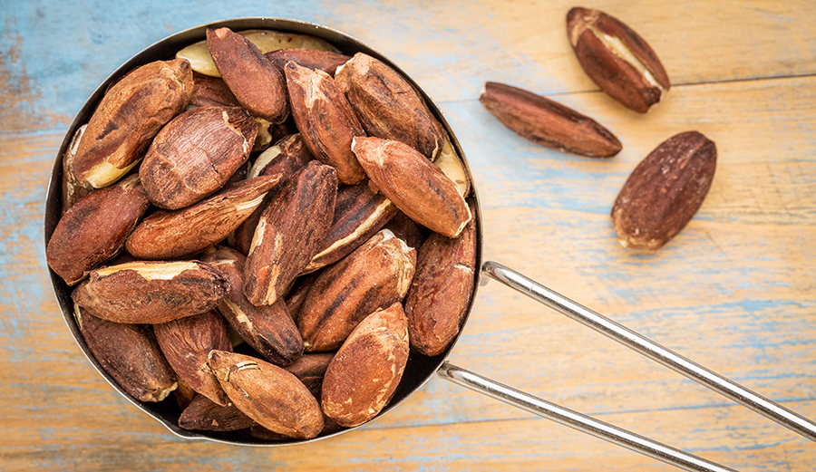 Photo: Shutterstock.