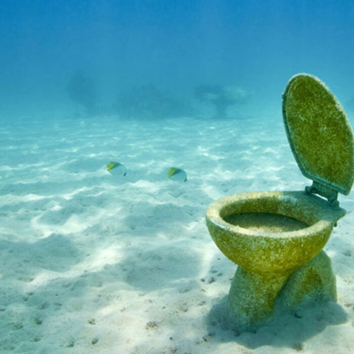 Just because there's a toilet in the water doesn't mean there should be human shit. Photo: Shutterstock
