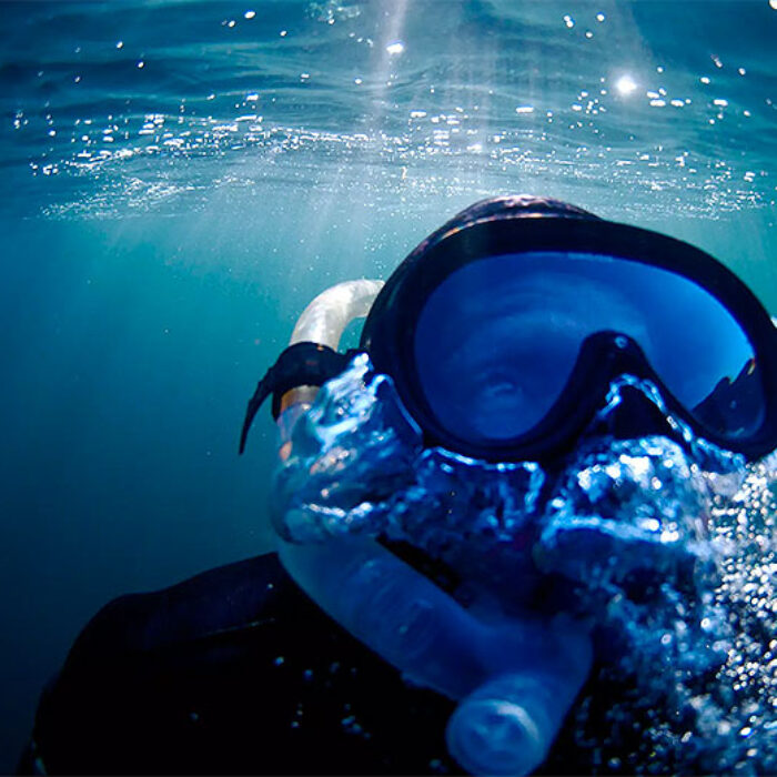 In his latest short flick, entitled The Urchin Hunter, Maassen focuses his lens on his dad, a sea urchin harvester.