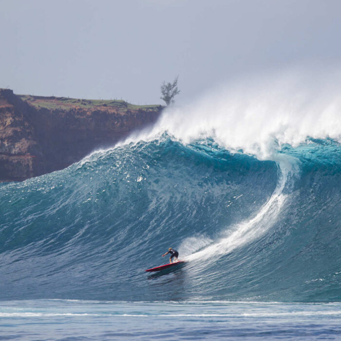 Coconut Willie Peahi