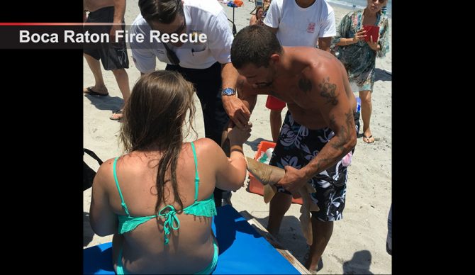 Screen Shot 2016-05-16 at 9.14.57