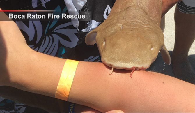 Photo: Boca Raton Fire Rescue