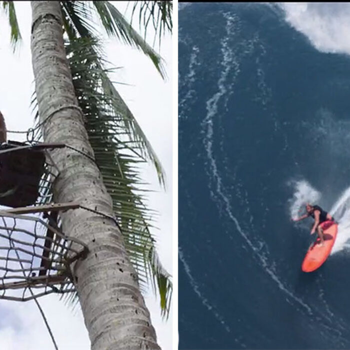 Maui’s best Coconut tree trimmer, frother, coconut enthusiast, Jaws charger, trademark claimer, Honolua wave magnet, and all around spunky guy.