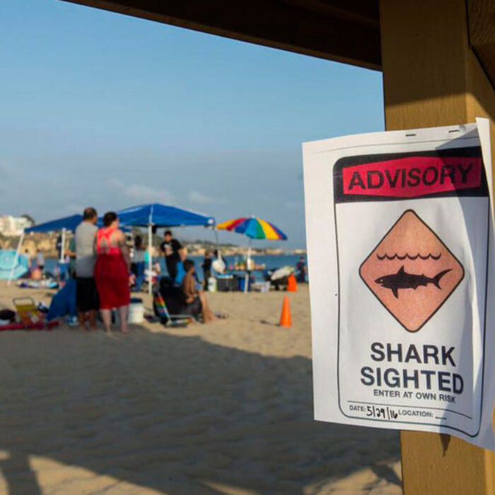 Shark attack sign