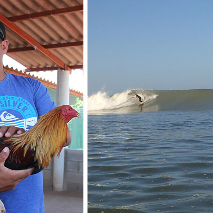 Photos: Derek Dodds