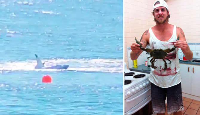 After Ben Gerring was attacked, a 4.2 meter great white was caught and killed.