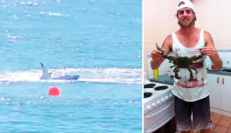 After Ben Gerring was attacked, a 4.2 meter great white was caught and killed.