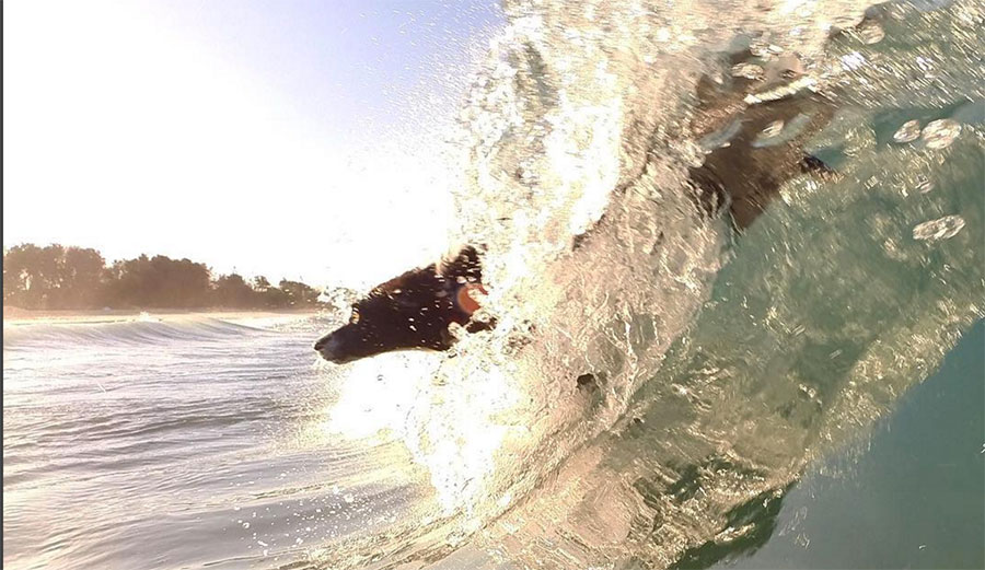 A much easier way to get back to shore.