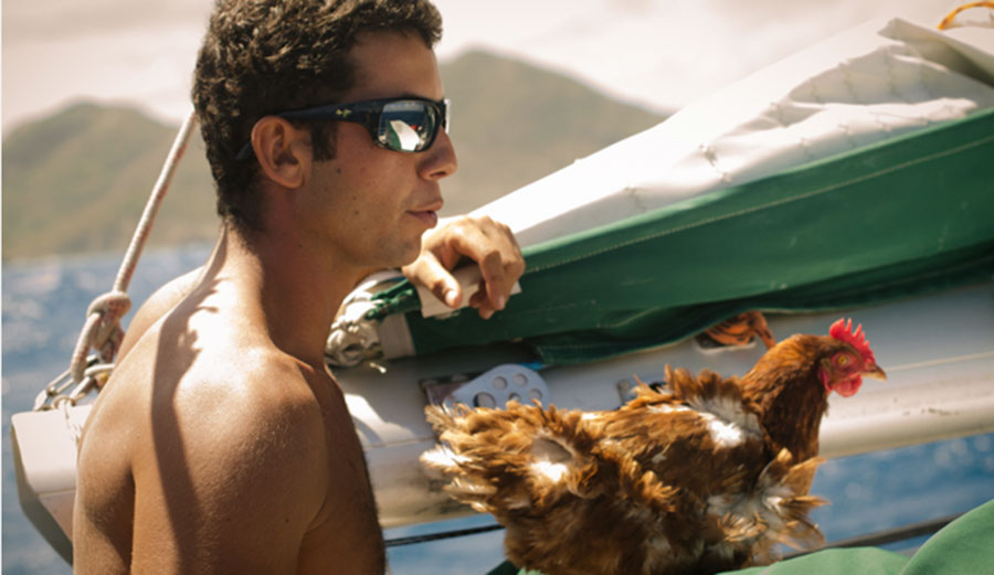 Monique and Sourée, partway through a chicken's most exciting life.