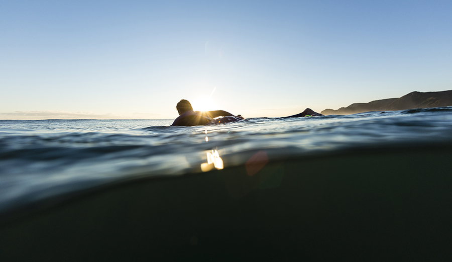 Photo: Shutterstock.