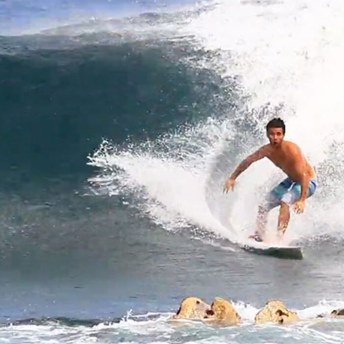 Mason Ho, rock lobstering.