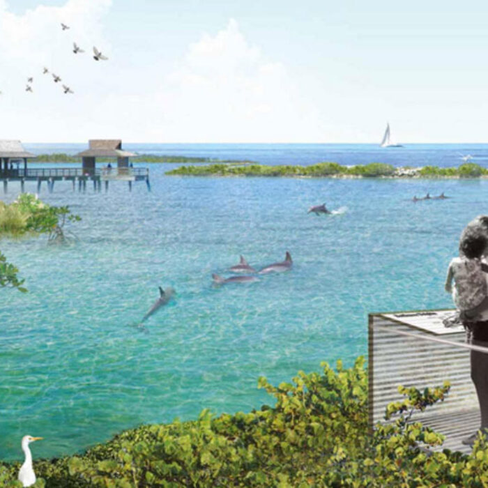 An artist's rendition of the sea sanctuary, slated to be completed by 2020. Image: National Aquarium
