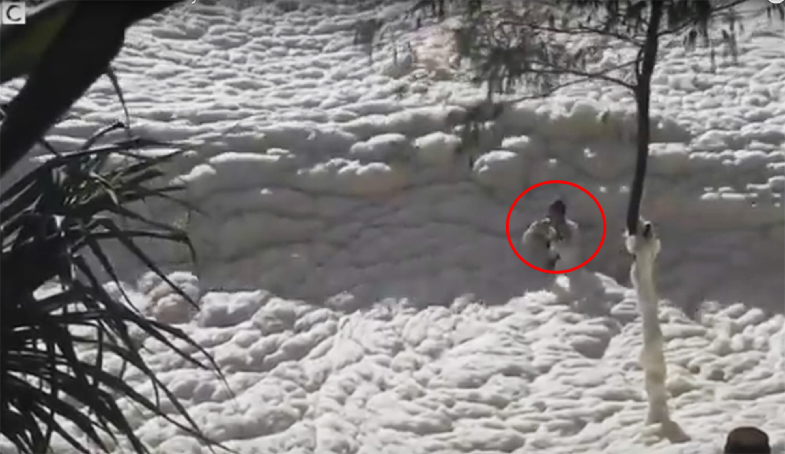 Sea Foam Guy