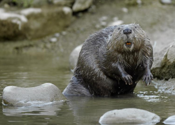 Screen Shot 2016-07-11 at 4.38.35 PM