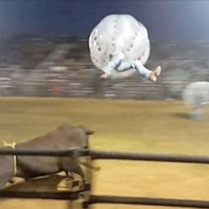 zorb ball bull fighting