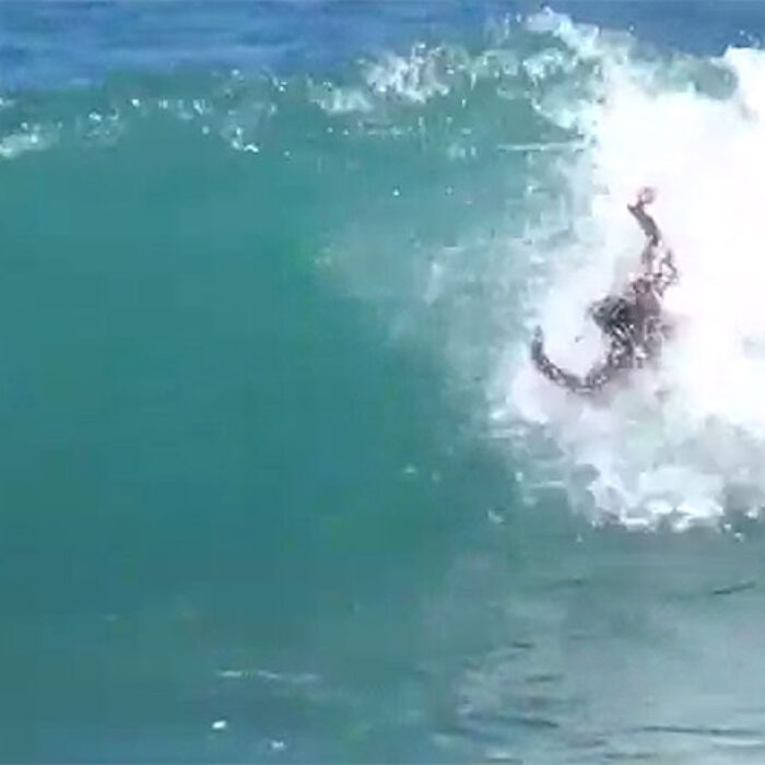 Dolphins are just on a different level. Then there's this guy, who's spinning around like a maniac, getting tubed, and spinning some more.
