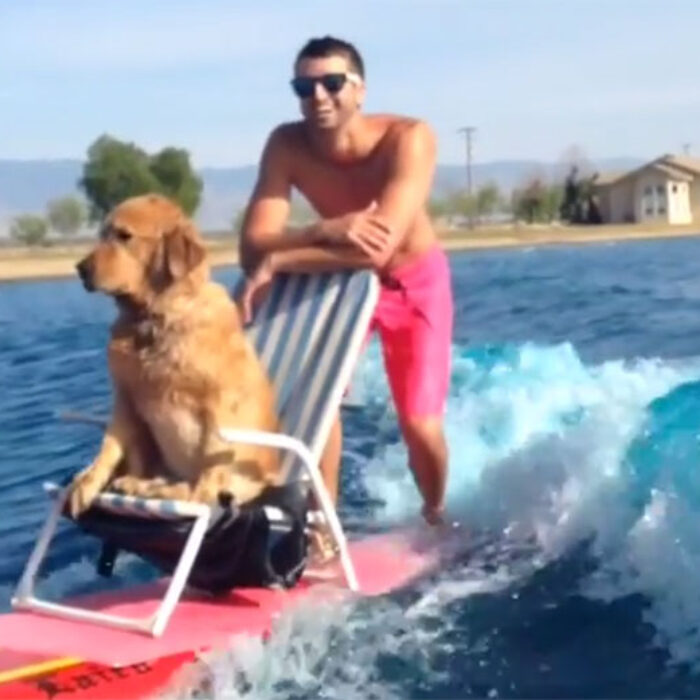 He has a tail that wags, something as simple as a stick or a tennis ball is a source of near-constant happiness, he actually enjoys things that smell bad, and he gets to chill on a lawn chair behind a boat.