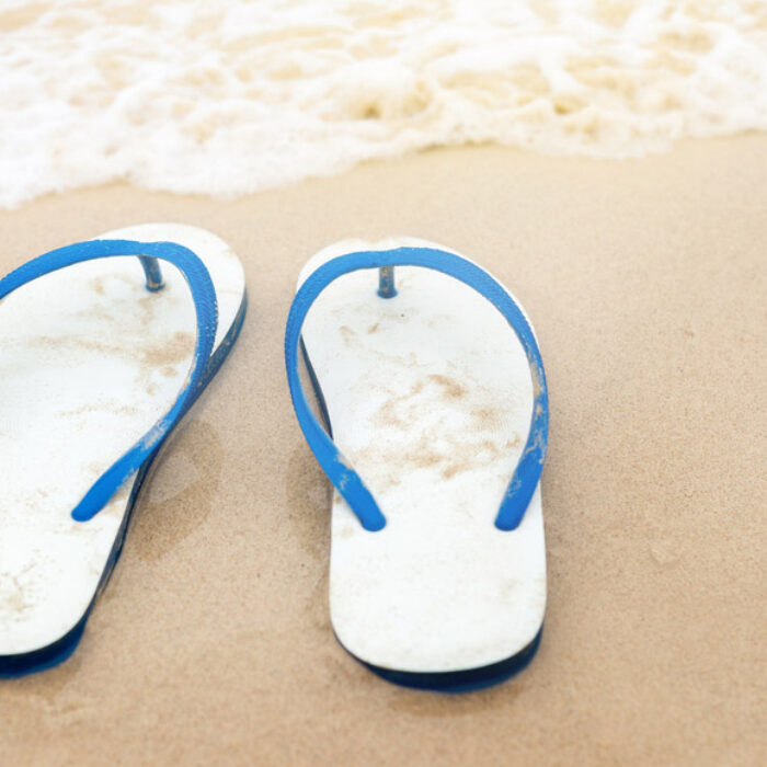 Flip Flops
