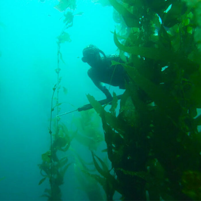 San Clemente Island sits just over 50 miles from the San Diego coastline. Access is limited–as a military testing site, it's a hard place to spend time.