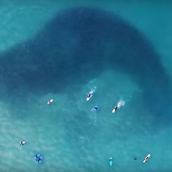 Every now and then, something incredible happens that no one would ever know about if it weren't for drones.