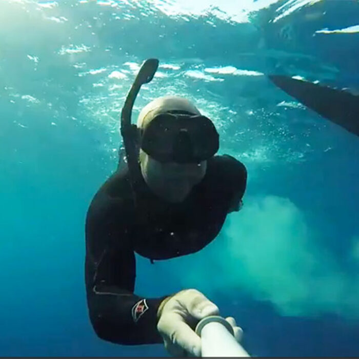 Most of us will never get to experience what it's like to get shit on by a whale shark.