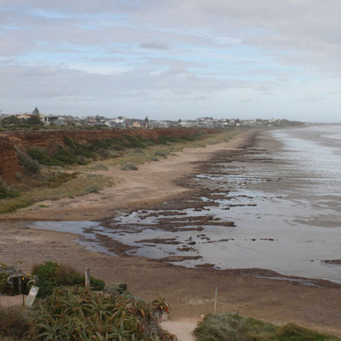 CoastAdapt puts high tides, predicted sea-levels, and low lying areas together to form an accurate portrait of what things might look like in the future. Photo: Elizabeth Resta/Witness King Tides/Flickr